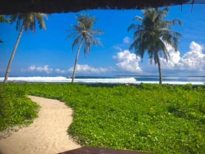 Southern Mentawai Outpost Hotel Sibigau Island Eksteriør billede